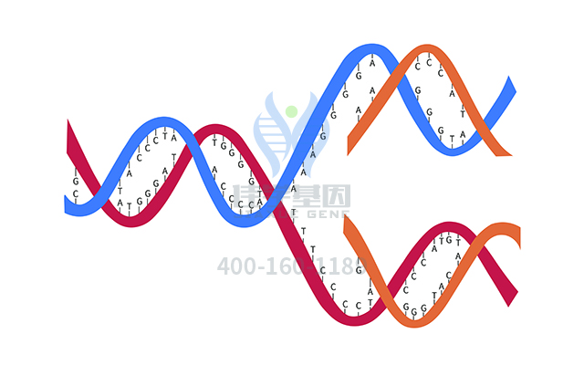 【突破】献礼建国70周年，佳学基因为基因检测推出中国人基因序列基准