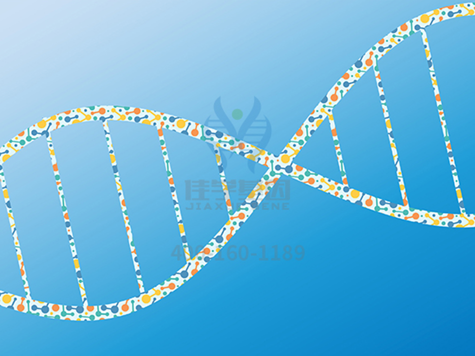 【佳学基因-基因检测】科学家发现新的基因突变影响牛皮癣发病风险