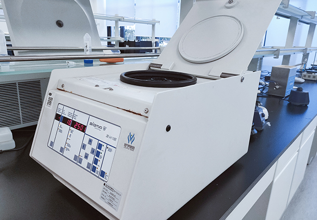 基因解码招聘分子医学诊断技术经理