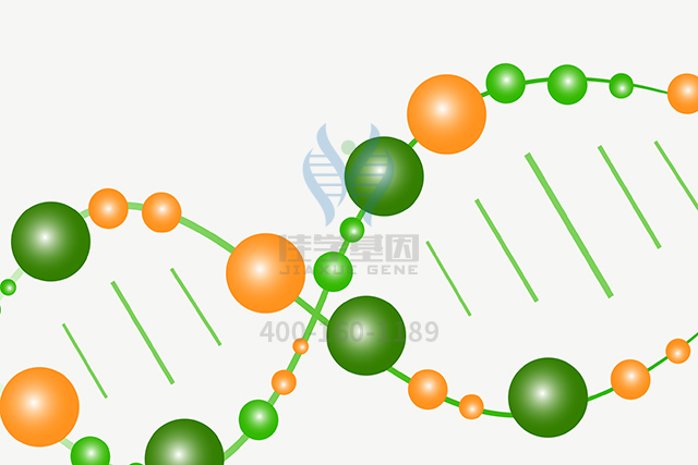 <b>【佳学基因检测</b>