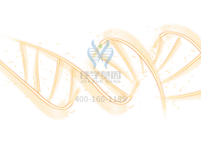 【佳学基因检测】做联合性垂体激素缺乏症4型基因解码、<a href=http://www.jiaxuejiyin.com/tk/jiema/cexujishu/2021/31933.html>基因检测</a>的费用是多少？