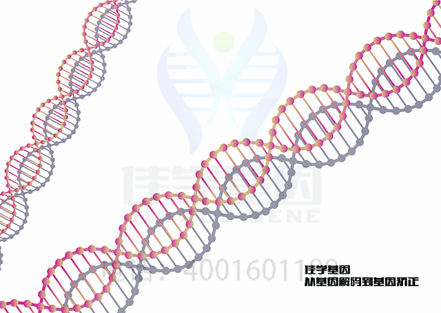 【佳学基因检测】什么人要做紫外线敏感症3基因解码、<a href=http://www.jiaxuejiyin.com/tk/jiema/cexujishu/2021/31933.html>基因检测</a>？