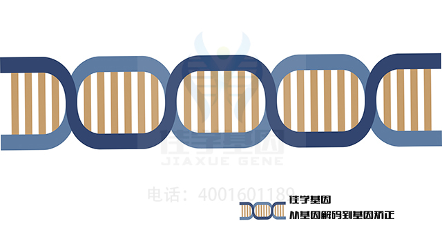 【佳学基因检测】小头症进行性癫痫发作和脑和小脑萎缩基因解码、<a href=http://www.jiaxuejiyin.com/tk/jiema/cexujishu/2021/31933.html>基因检测</a>的报告有人解读吗？