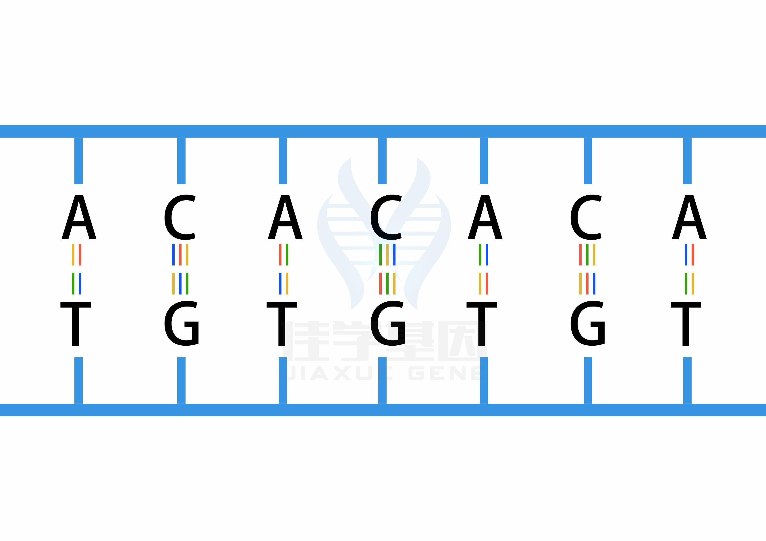 【佳学基因检测