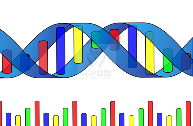 【佳学基因检测】怎么做视网膜变性基因解码、<a href=http://www.jiaxuejiyin.com/tk/jiema/cexujishu/2021/31933.html>基因检测</a>?