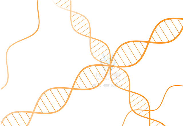 【佳学基因检测】什么人要做Vitreoretinochoroidopathy基因解码、<a href=http://www.jiaxuejiyin.com/tk/jiema/cexujishu/2021/31933.html>基因检测</a>？