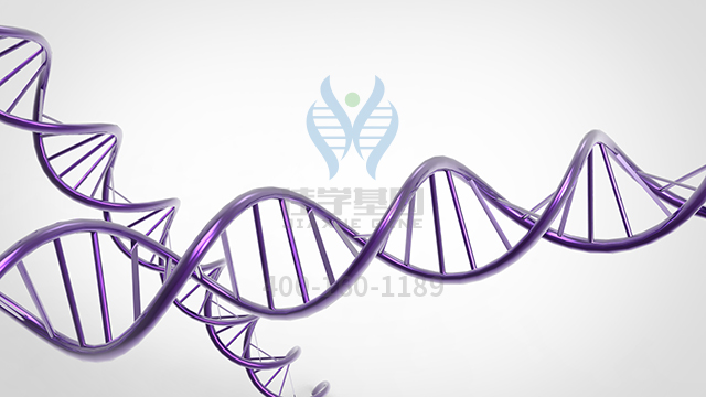 【佳学基因检测】布加综合症基因解码、<a href=http://www.jiaxuejiyin.com/tk/jiema/cexujishu/2021/31933.html>基因检测</a>报告看得懂吗？