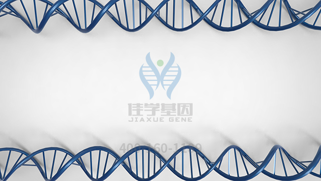 【佳学基因检测】什么人要做家族性房颤7型基因解码、<a href=http://www.jiaxuejiyin.com/tk/jiema/cexujishu/2021/31933.html>基因检测</a>？