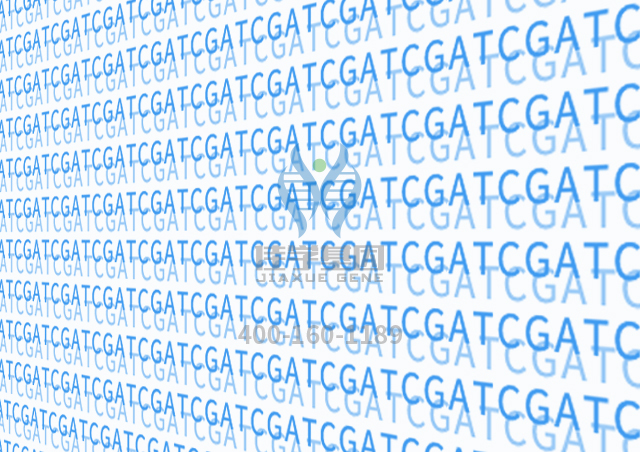 【佳学基因检测】酚嘧啶基因检测