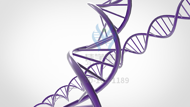 【佳学基因检测】怎样选择腺泡状横纹肌肉瘤基因解码、<a href=http://www.jiaxuejiyin.com/tk/jiema/cexujishu/2021/31933.html>基因检测</a>？