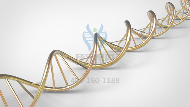 【佳学基因检测】冷诱发出汗综合症基因解码、<a href=http://www.jiaxuejiyin.com/tk/jiema/cexujishu/2021/31933.html>基因检测</a>的报告看得懂吗？