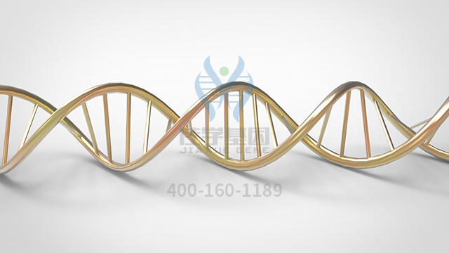 【佳学基因检测】APP相关的脑膜淀粉样血管病皮埃蒙特变异型基因解码、<a href=http://www.jiaxuejiyin.com/tk/jiema/cexujishu/2021/31933.html>基因检测</a>的报告看得懂吗？