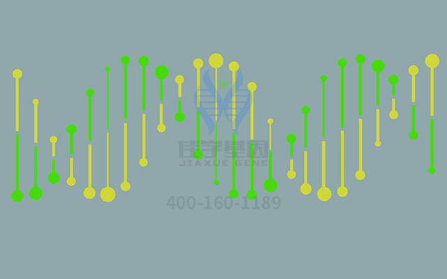 吡诺克辛药物<a href=http://www.jiaxuejiyin.com/tk/jiema/cexujishu/2021/31933.html>基因检测</a>