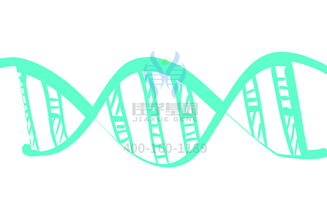 <b>【佳学基因检测</b>