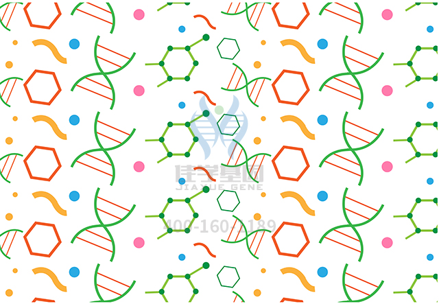 【佳学基因检测】怎么做全身性反射亢进基因解码、<a href=http://www.jiaxuejiyin.com/tk/jiema/cexujishu/2021/31933.html>基因检测</a>?