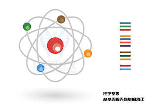 【佳学基因检测