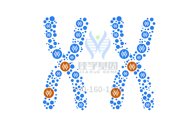 盐酸硫利达嗪药物<a href=http://www.jiaxuejiyin.com/tk/jiema/cexujishu/2021/31933.html>基因检测</a>