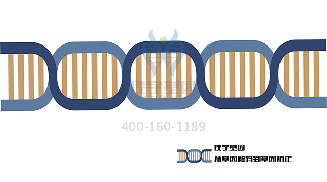 <b>【佳学基因检测</b>