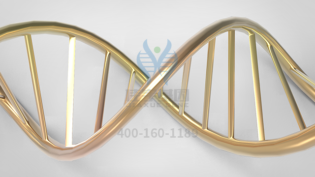 【佳学基因检测】做FG综合征基因解码、<a href=http://www.jiaxuejiyin.com/tk/jiema/cexujishu/2021/31933.html>基因检测</a>的费用是多少？