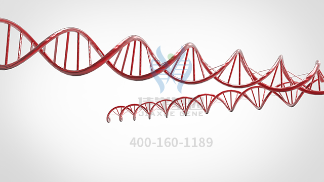 【佳学基因检测】纤毛类疾病基因解码、<a href=http://www.jiaxuejiyin.com/tk/jiema/cexujishu/2021/31933.html>基因检测</a>的样品有区别吗？