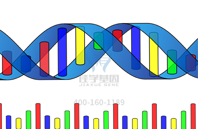 【佳学基因检测