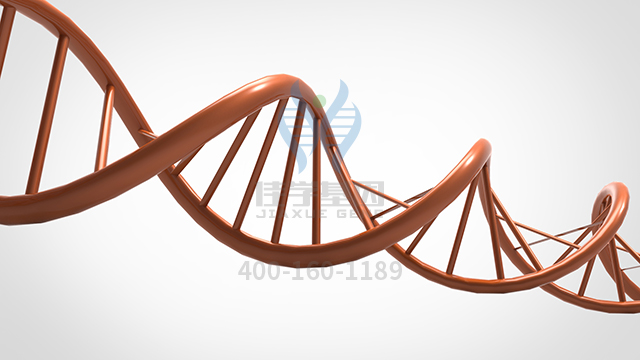 【佳学基因检测】做胰腺囊肿基因解码、<a href=http://www.jiaxuejiyin.com/tk/jiema/cexujishu/2021/31933.html>基因检测</a>的费用是多少？