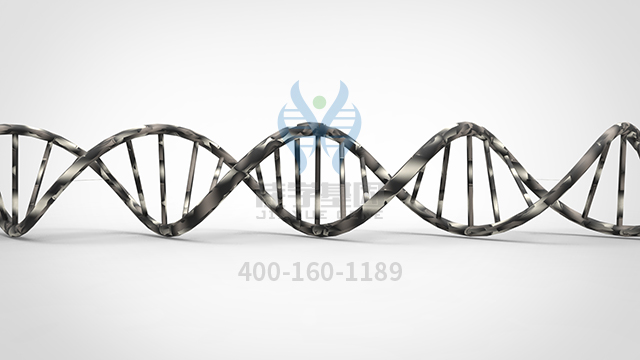 【佳学基因检测】睑裂狭小综合征1型基因解码、<a  data-cke-saved-href=http://www.jiaxuejiyin.com/tk/jiema/cexujishu/2021/31933.html href=http://www.jiaxuejiyin.com/tk/jiema/cexujishu/2021/31933.html>基因检测</a>的报告有人解读吗？