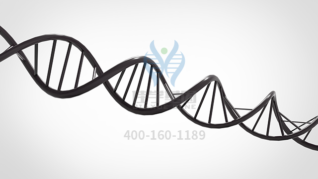 【佳学基因检测】特发性胰腺炎易感性型基因解码、<a href=http://www.jiaxuejiyin.com/tk/jiema/cexujishu/2021/31933.html>基因检测</a>可以只做<a href=http://www.jiaxuejiyin.com/tk/jiema/cexujishu/2021/31933.html>基因检测</a>吗？