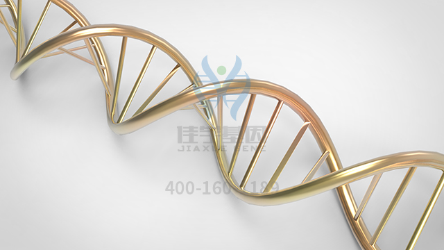 【佳学基因检测