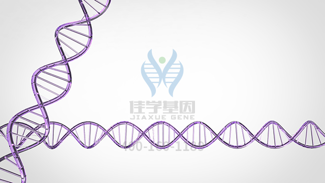 【佳学基因检测】呋喃新基因检测