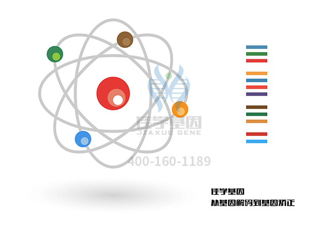 【佳学基因检测】全身性癫痫伴热性惊厥附加症2型基因解码、<a href=http://www.jiaxuejiyin.com/tk/jiema/cexujishu/2021/31933.html>基因检测</a>怎么预约解读？