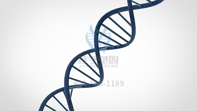 【佳学基因检测】肾性低尿酸血症2型基因解码、<a href=http://www.jiaxuejiyin.com/tk/jiema/cexujishu/2021/31933.html>基因检测</a>的报告有人解读吗？