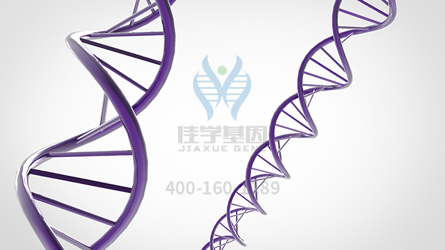 【佳学基因检测】氟苯丙胺基因检测