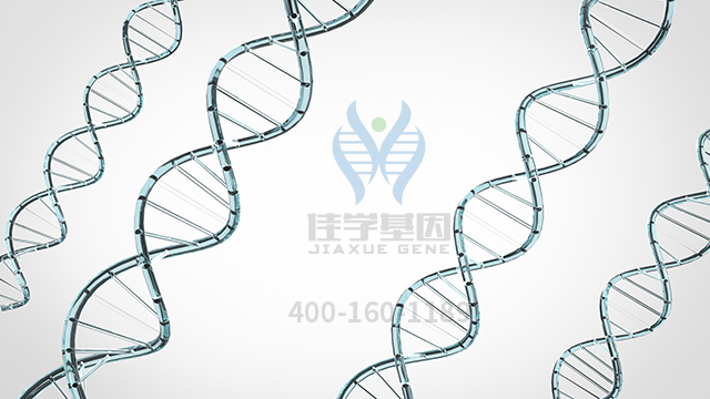 【佳学基因检测】怎样选择胼胝体部分发育不全基因解码、<a href=http://www.jiaxuejiyin.com/tk/jiema/cexujishu/2021/31933.html>基因检测</a>？