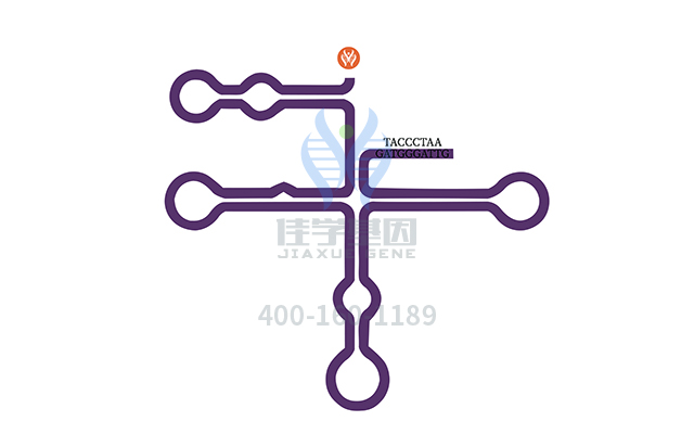 【佳学基因检测】做耳聋常染色体隐性3型基因解码、<a href=http://www.jiaxuejiyin.com/tk/jiema/cexujishu/2021/31933.html>基因检测</a>需要多少钱？