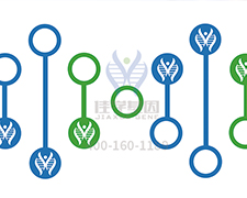 【佳学基因-基因