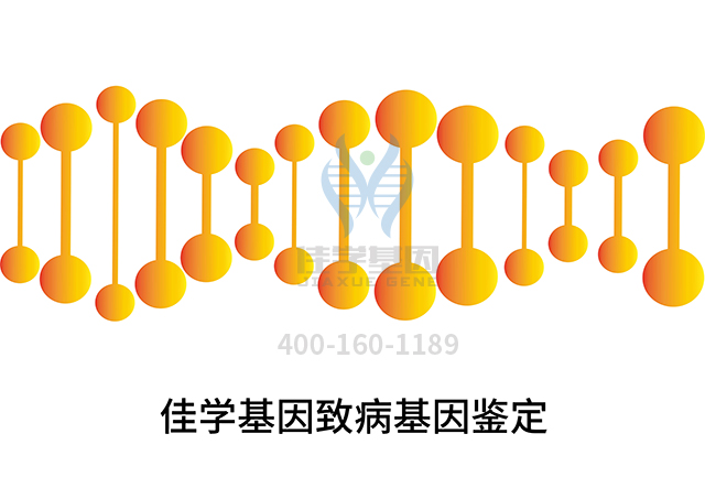 【佳学基因检测】怎么做发育迟缓和黑棘皮病的严重性发育不良症基因解码、<a href=http://www.jiaxuejiyin.com/tk/jiema/cexujishu/2021/31933.html>基因检测</a>?