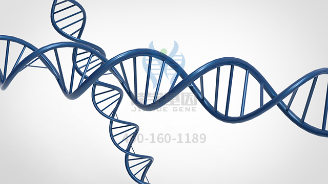 【佳学基因检测】做先天性分泌性腹泻钠型基因解码、<a href=http://www.jiaxuejiyin.com/tk/jiema/cexujishu/2021/31933.html>基因检测</a>方便吗？