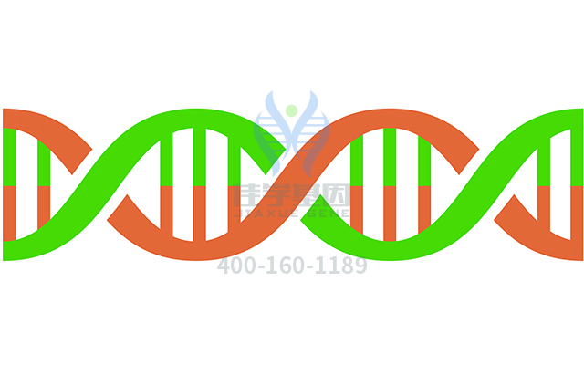 【佳学基因检测】什么人要做缺血性中风基因解码、<a href=http://www.jiaxuejiyin.com/tk/jiema/cexujishu/2021/31933.html>基因检测</a>？