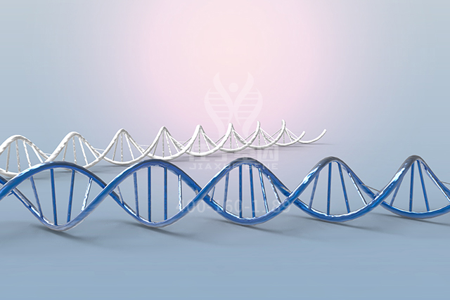 【佳学基因检测】医学博士ARSF分子病理检测的知识结构准备