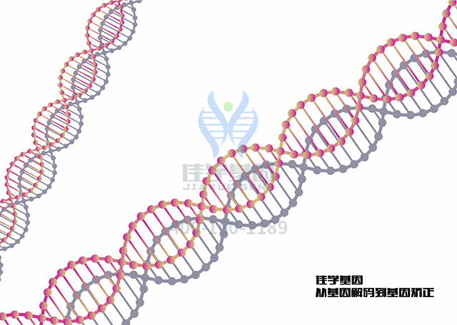 【佳学基因检测