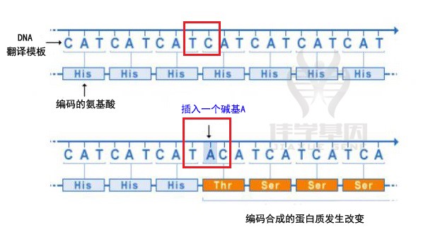 <b>【佳学基因检测</b>