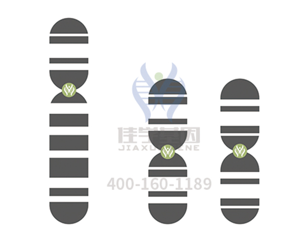 【佳学基因-基因检测】基因解码让瓜氨酸血症不在后代中遗传