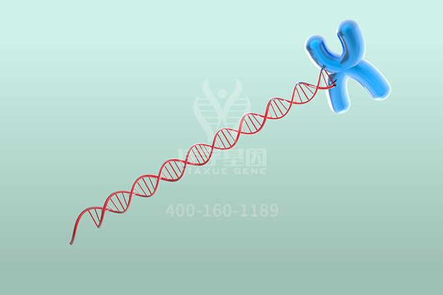 【佳学基因检测】骨科分子病理检测项目招标中关于ART2P的问题 【佳学基因检测】骨科分子病理检测项目招标中关于ART2P的问题