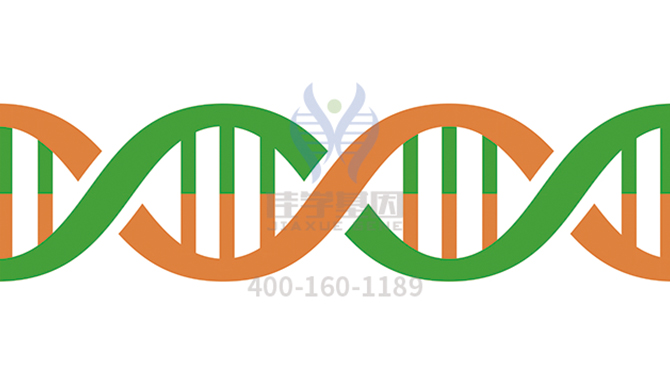 【佳学基因-基因