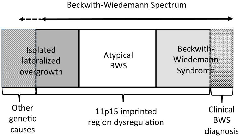 佳学基因BWS<a href=http://www.jiaxuejiyin.com/tk/jiema/cexujishu/2021/31933.html>基因检测</a>