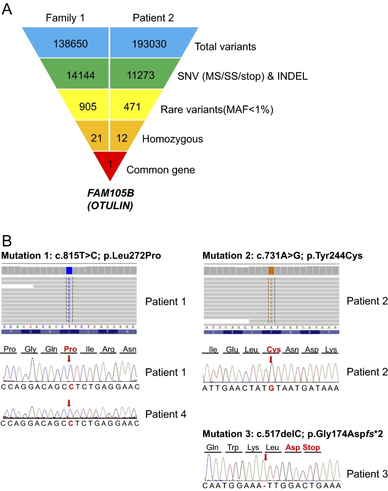 An external file that holds a picture, illustration, etc.
Object name is pnas.1612594113sfig01.jpg