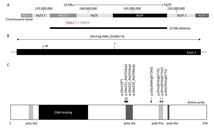 An external file that holds a picture, illustration, etc.
Object name is genes-12-00364-g001.jpg