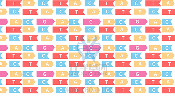 【佳学基因检测