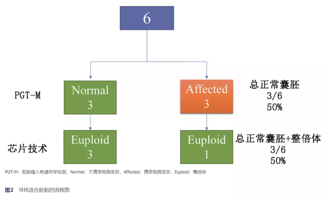 <b>【佳学基因检测】盘古大模型CDH3基因检测的信息标签</b>